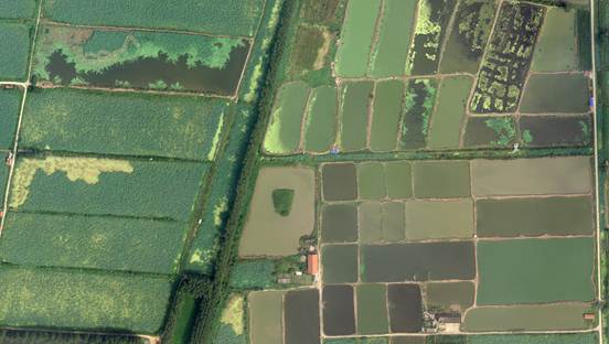 ���z�c�b��